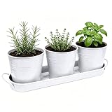TCBWFY Indoor Herb Garden Planter Set - 3 Pack 4.7' White Metal Plant Pots with Drainage Holes & Removable Tray - Windowsill Kitchen Counter Balcony Office Garden