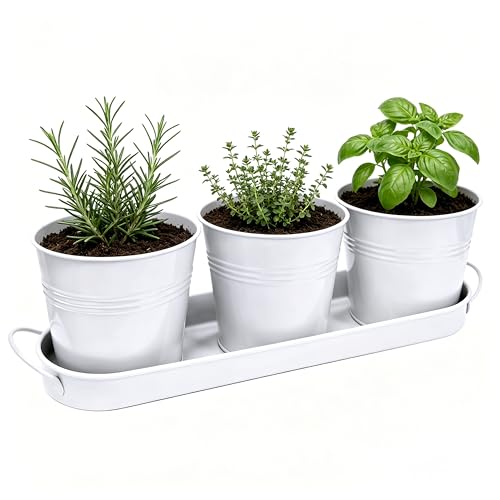 TCBWFY Indoor Herb Garden Planter Set - 3 Pack 4.7' White Metal Plant Pots with Drainage Holes &...