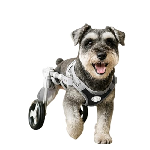 XVVX���p�Ԉ֎q�A�y�b�g���s�� �A���S�n���ǂ��A���t�����ȒP�ŁA�T�C�Y�����\�A�r�A��r�ւɉe����^�����A�Ԉ֎q�Ɏ��t����L�̌�둫�T�|�[�g�A�i�[���Ōy�ʂȃy�b�g�⏕�ԗ��B����ɓK���Ă��܂� (�z���C�g - 2��,XS�T�C�Y)