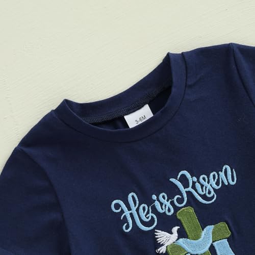 Image of Toddler Baby Boy Easter Rabbit Outfit Short Sleeve Bunny Carrot Smocked T-shirt Elastic Waist Shorts Summer Clothes