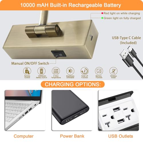 Image of Tassuowell Antique Bronze Picture Light, 23.6 Inch Remote Control Painting Lights for Wall Cordless, 3CCT Dimmable Wall Lights for Pictures, Rechargeable Art Light for Pictures On Wall with Timer