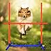 Uzpomel Dog Agility Equipment - Complete Dog Agility Course Backyard Set Including Tunnel & Obstacle Course, Professional Training Equipment for Dogs