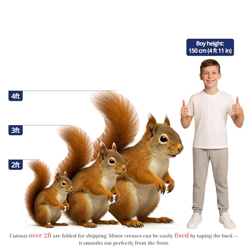 Image of Squirrel 4FT Life Size Cardboard Cutout - A Fun Animal Standup for Photo Booths, Birthday Parties, and Events