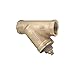 Y Strainer, 304 SS, 1-1/4", Threaded, Fiber