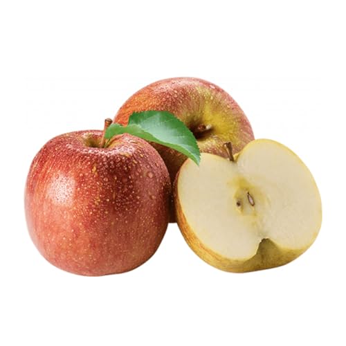 Muda Frutífera de Maçã Fuji Enxertada