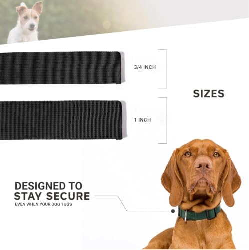 Image of Dog Collar - Colored Adjustable Pet Collars, 3 /4 Inch Wide, Medium, Pacific Blue