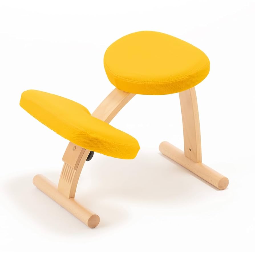 【正規品】美品バランスチェア　イージー(カバー付き) バランス イージー専用｜推しカバー Tretre トレトレ バランス