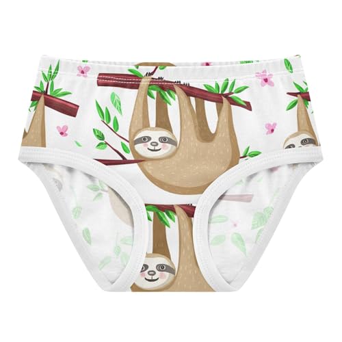 Girls Underwear Toddler 2t Cotton Panties Little Girl Designer Undies Kids Briefs Cute Sloths Hanging Tree
