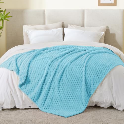 Image of BEDELITE Light Blue Throw Blanket for Couch, Soft Gifts for Women, 50 * 60 | 3D Jacquard Decorative Fleece Blanket, Super Soft Plush Throws, Cute Birthday Gift for Women & Men, Suitable for All Seasons