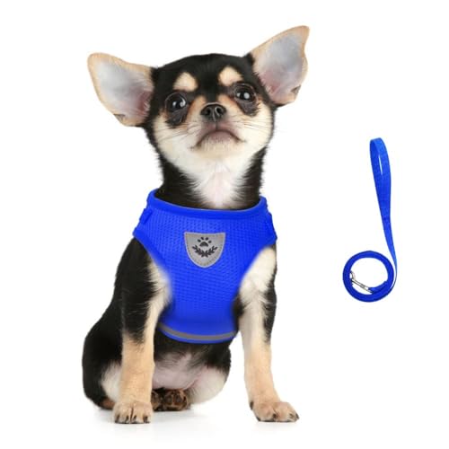 Image of FEimaX Dog Harness and Leash Set for Walking, Soft Mesh Adjustable Easy Control Lightweight Cat Vest Harnesses with Reflective Strips, Escape Proof Small Dogs Cats Vests (Blue, Small)