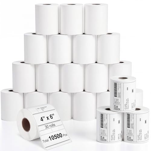 Etiquetas térmicas 4x6 impresas sin tinta con resistencia comercial Dunzoom