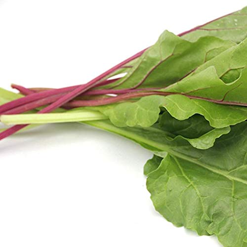 LEANO 100pcs Organic Rainbow Swiss Chard Seeds Heirloom Vegetable Seeds Non-GMO for Home Garden Planting