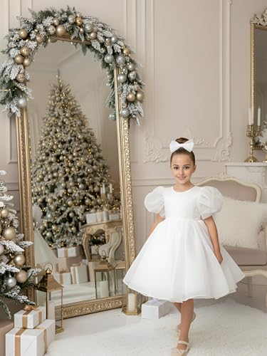 2Bunnies Girls Baby Toddler Puff Sleeve Organza Tulle Tutu Twirly Babydoll Flare Ball Gown Princess Flower Girl Dress4