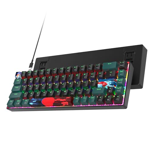 Image of 60 Percent Gaming Keyboard 68 Keys Mechanical Keyboard Rainbow Backlit Compact Wired Keyboard with Red Switch for Windows PS4 /5 Xbox(68 Green)