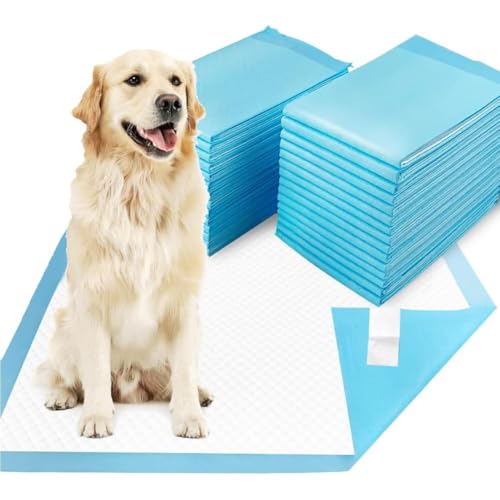 BAKAJI 120 Traversine per Animali Super Assorbenti Blu, Tappetini Extra Large Igienici Anti Perdita per Cani, Gatti, Conigli, Multiuso, Teli per Pipì, Traversina Asciugatura Rapida (60 x 90 cm)