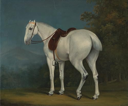 Lienzo Poster Cuadro Moderno Impresión Ladys Grey Hunter Agasse 60x90