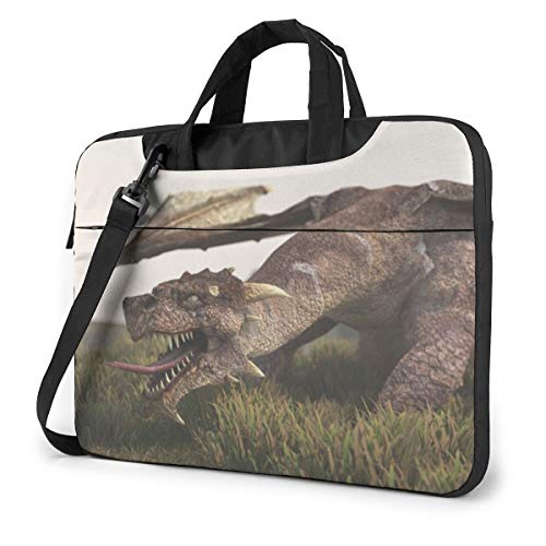 3d hS PCP[X m[gp\RobO bvgbv یP[X PCobO Ռz y rWlXobO nhobO u[tP[X 񂰃obO t ΂ߊ|obO 13/14/15.6C`