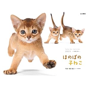 カレンダー2023 ほのぼの子ねこ (月めくり/壁掛け) (ヤマケイカレンダー2023)" 