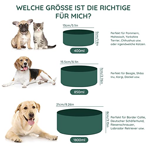 SPUNKYJUNKY Hundenapf Keramik Doppel Hund Futternapf mit Bambus Ständer für Katzen und Hunde (400ml, 1-Grün)