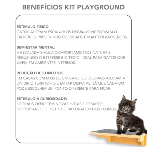 Playground Gato 9 Peças - Onda Sonora - Super Resistente Montado Premium (Preto)