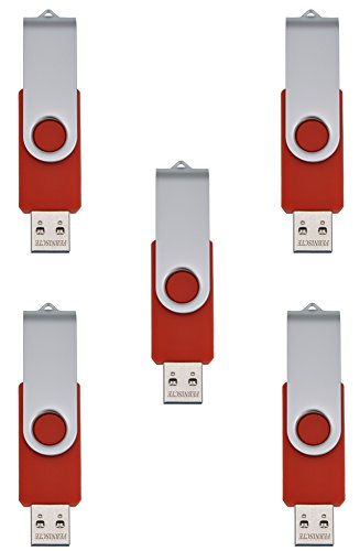 FEBNISCTE 5 pezzi 2 GB USB 2.0 Flash Drive per