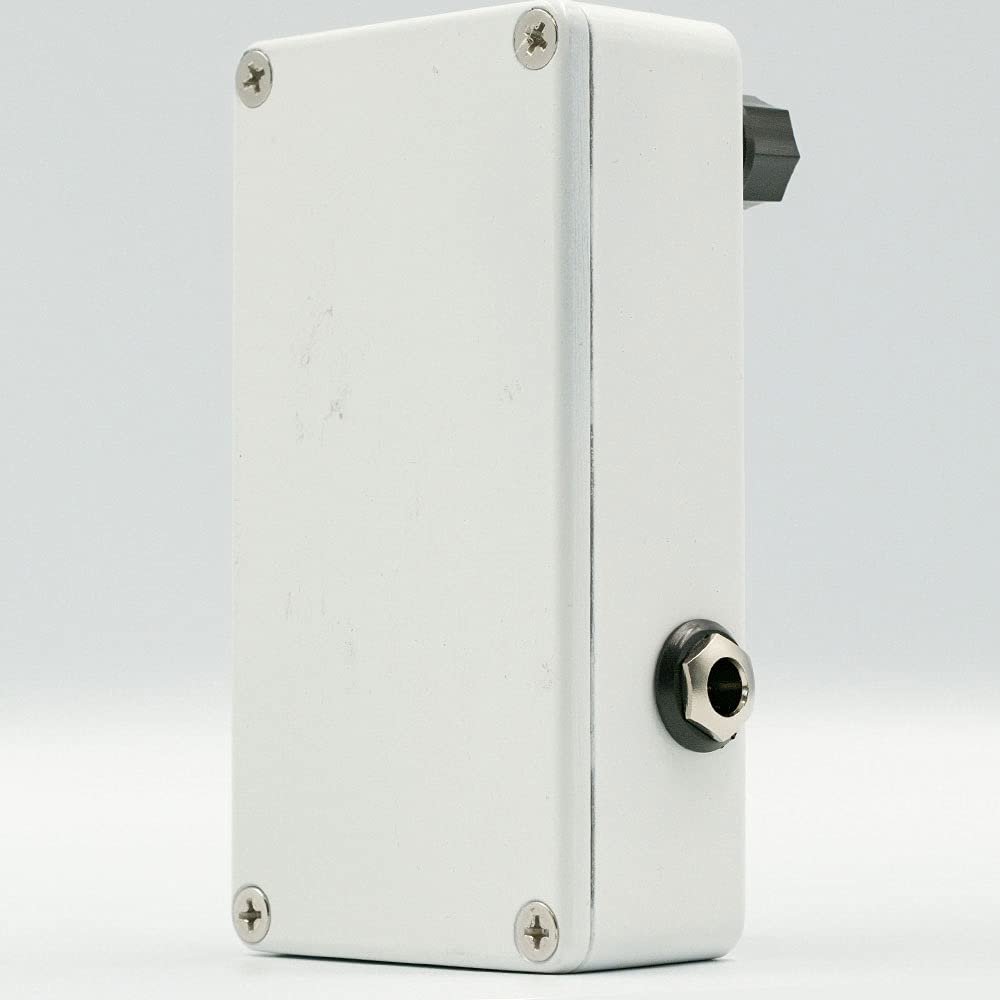 Westminster Effects Spurgeon Reverb V2 : Amazon.fr: Instruments de