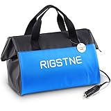 Rigstne Electric Cooler Bag, 12V Thermoelectric Cooler Warmer Plug in for Vehicles, Portable Cooler Refrigerator for Car, RV, and Camping Use, 18L/20 Cans Capacity