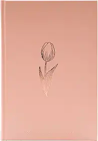 Bíblia NAA, Rose Tan, Capa Dura | SBB | Capa dura ilustrada, rose: Nova Almeida Atualizada (NAA)