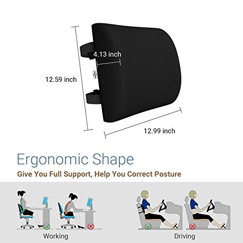 AMERIERGO Lumbar Support Pillow, Memory Foam Back Cushion with Mesh Cover Double Adjustable Straps for Office Chair Car Seat