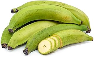 Green Plantain (Pack of 10)