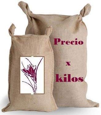 Jengibre Seco 1 Kg - Jengibre Natural 100 % 1000 grs