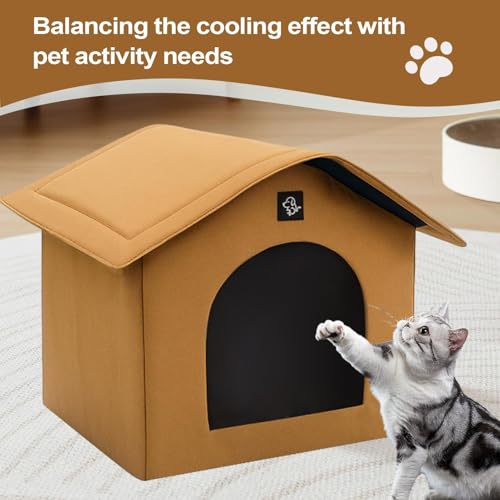 Maison rafraîchissante pour chat extérieur et intérieur abri nomade
