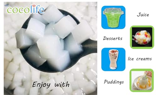Image of Cocolife Nata De Coco 10mm Coconut Jelly (1kg) | Premium Chewy Coconut Cubes | Ready-to-Eat Dessert Topping | Perfect for Bubble Tea, Fruit Bowls, Ice Cream & Drinks | Refreshing Low-Fat Tropical Snack