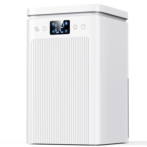 BAPOLE 75OZ Small Dehumidifier