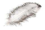 NaDeco Strau&szlig;enfeder in Natur-Wei&szlig; Gr&ouml;&szlig;e ca. 30-60cm | echte Strau&szlig;en-Feder | Feder vom Strau&szlig; | Massagefeder | Schmuckfeder | Hutfeder | Kost&uuml;mfeder | Naturfeder | Bastelfeder | Deko-Feder
