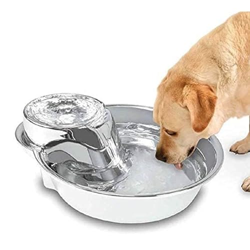 Fuente de agua para gatos 3.8L acero inoxidable miniatura 2