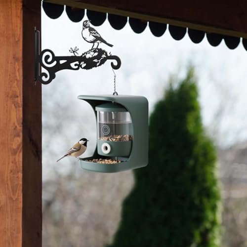 Heavy Duty Iron Plant Hangers - 2 Packs