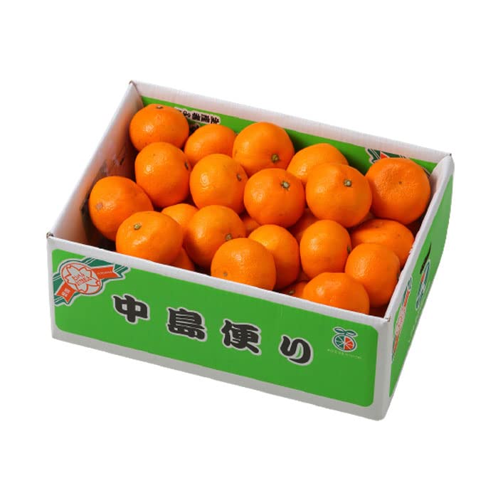 Amazon.co.jp: みかん 中島便りみかん 青秀 2L～2Sサイズ 5kg 糖度12度