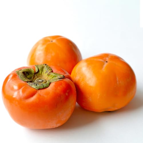 柿 食べ比べ 2品種×10個[2026年10月上旬発送開始](茨城県共通品:大子町) 富有柿 次郎柿 種無し柿 筆柿 太秋柿 果物 フルーツ 旬