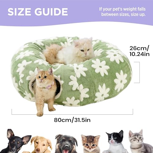 Túnel para gatos plegable que transforma tu salón en un parque de juegos y relax 3