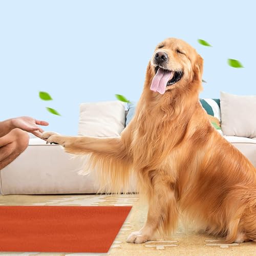 Image of Trance Waterproof Pet Training Pads | Reusable Pee Pad for Dogs Cats Puppy and Pets | Washable Pet Dry Sheet | Potty Trainer | Soft and Hypo-Allergenic (Small, Size 0.5x0.7M | 50x70Cms, Brick Red)