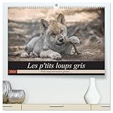 Photo Gallery les p tits loups gris (calendrier mural 2026 din a2 vertical) calendrier de bureau: petit loup deviendra grand ... Photo Gallery les p tits loups gris (calendrier mural 2026 din a2 vertical) calendrier de bureau: petit loup deviendra grand ...