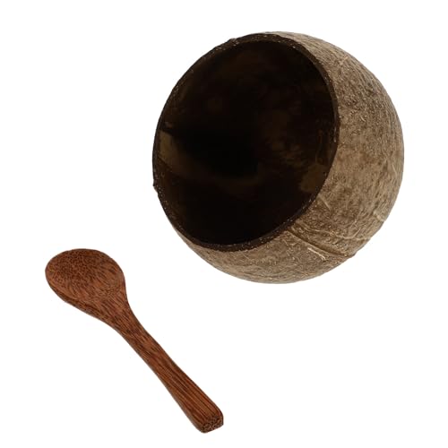 OSOLADY �V�R���q?�f�U�[�g�J�b�v �X�v�[���t�� ���@�\�t�[�h�R���e�i �y�ʂň��� �x�[�X�t�� �a������n���C�A���p�[�e�B�[�� �Ƒ���F�l