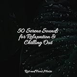 Rest and Focus Music