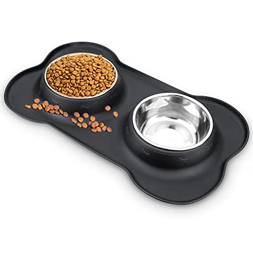 Top 5 Best Dog Bowls for a Cavapoo Our Cavapoo