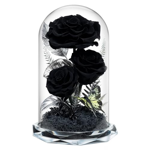 Tyvouflo Forever Flowers in Glass Dome - Preserved Roses for Her Women Valentines Day Mothers Day Anniversary A-Grade Black Roses Home Decor for Girlfriend Wife Sister Mom (Black)