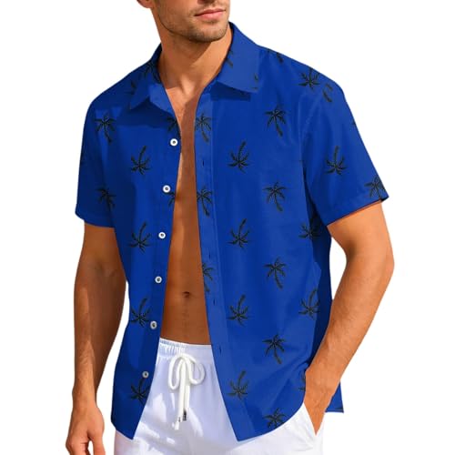 Robe Tee Shirt Haut Disco en Coton Fluide et Aspect Laqué
