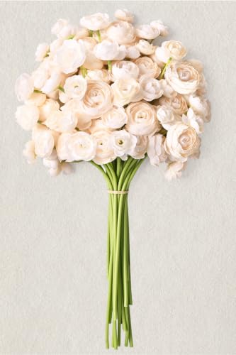 Waipfaru Ranunculus Artificial Flowers 18Pcs 14In Fake Peonies Artificial Flowers Faux Flower for Vase Silk Flower Real Touch Faux Peony Bulk for DIY Wedding Bouquet Home Bridal Shower Decor