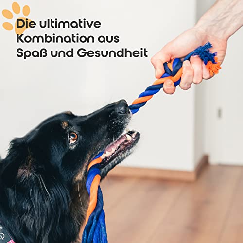 PETBEE Seilspielzeug für Hunde | Ball mit Seil | Futterball für Hunde | Seil ca. 30 cm Länge | Ball Durchmesser ca. 6,5 cm | Hundeball zur Unterstützung der Zahnpflege