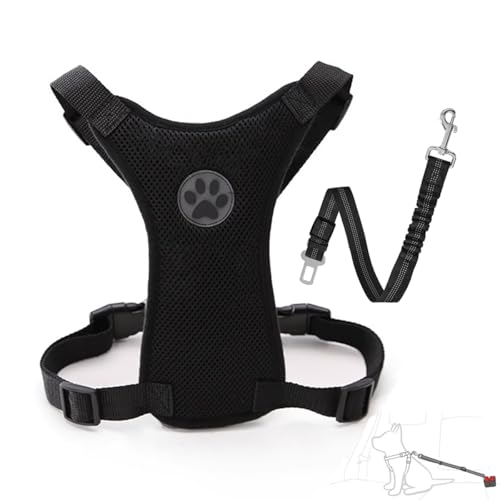 Ensemble de ceinture de sécurité pour chien - Harnais de sécurité réglable en maille respirante avec sangle de ceinture de sécurité élastique pour...